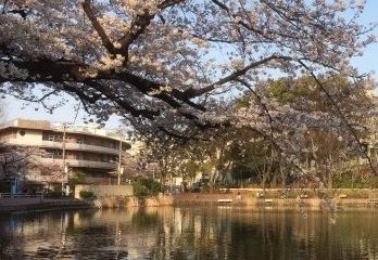 見次公園