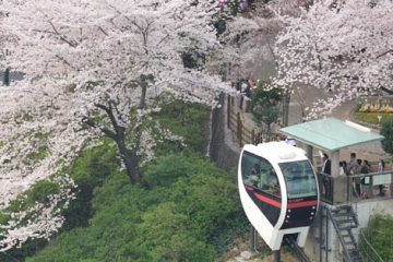 飛鳥山公園