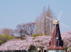 浮間公園