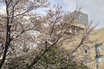 東京北医療センター前道路