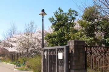 赤羽自然観察公園