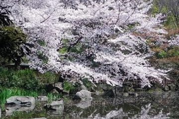 名主の滝公園