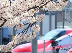 東京新幹線車両センター沿道脇