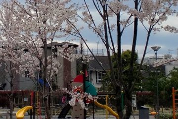 染井よしの桜の里公園
