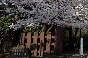 井草森公園