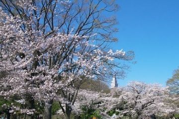 代々木公園