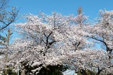 代々木大山公園