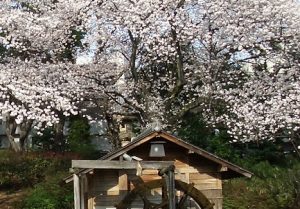 鍋島松涛公園