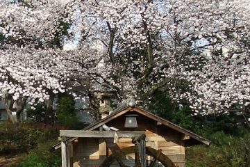 鍋島松涛公園