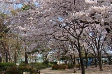 塚山公園