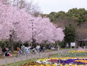 蘆花恒春園