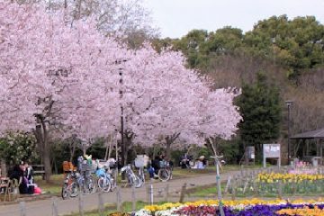 蘆花恒春園