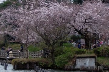 洗足池公園