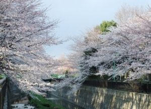 祖師谷公園