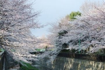 祖師谷公園