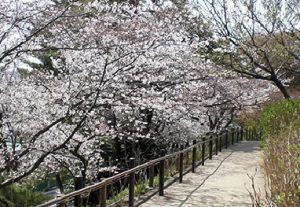 多摩川台公園