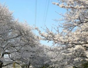 駒沢オリンピック公園