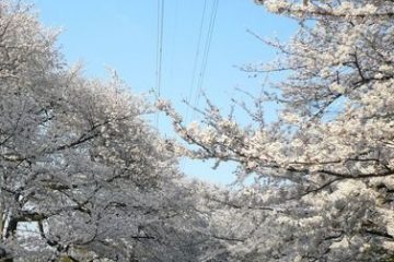 駒沢オリンピック公園