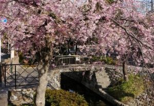 古川親水公園