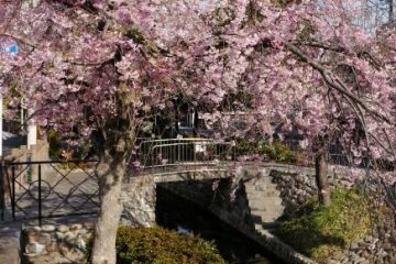 古川親水公園