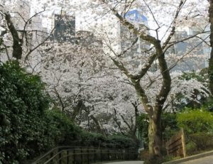 五反田公園