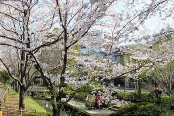 一之江境川親水公園