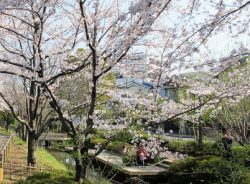 一之江境川親水公園