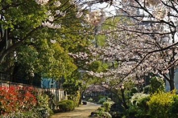 篠田堀親水緑道