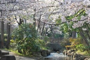 小松川境川親水公園