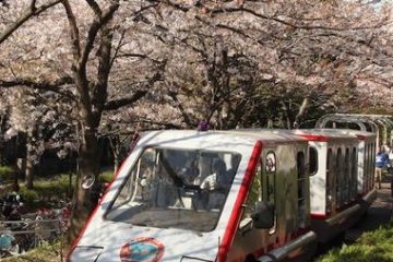 総合レクリエーション公園