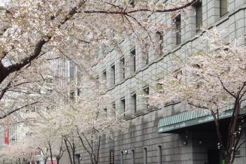 江戸桜通り