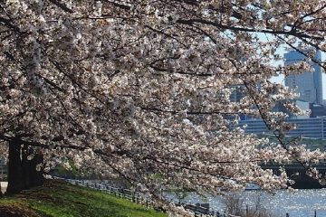 石川島公園