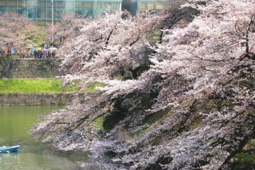 北の丸公園