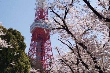 芝公園