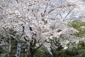 愛宕山・愛宕神社