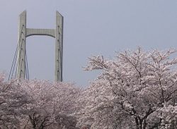 木場公園