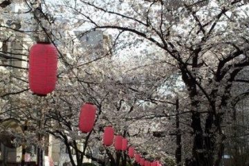 亀戸緑道公園・大島緑道公園