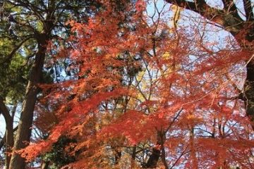 戸山公園