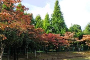 北新宿公園