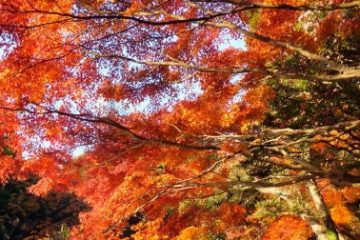 小石川後楽園